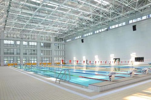 威浪仕Laswim智慧節能泳池設備 為學校泳池打造高品質運動體驗